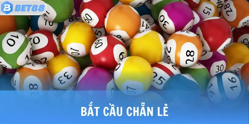 bat cau le