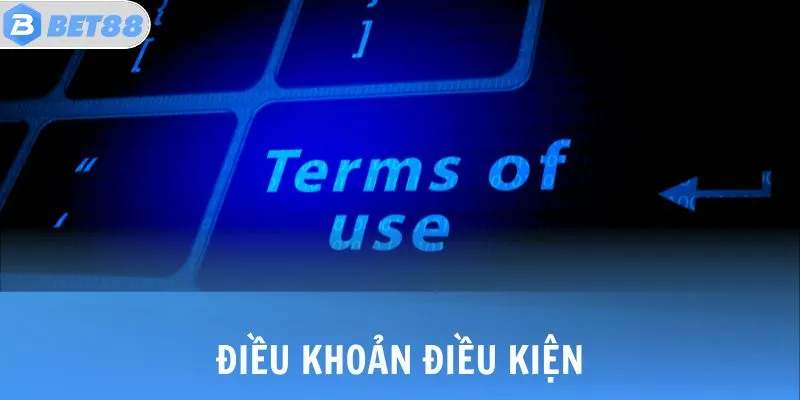 dieu khoan dieu kien