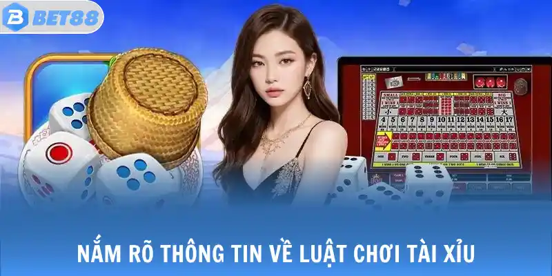 Tài Xỉu - Cụ Thể Thông Tin Luật Chơi Dành Cho Tân Thủ 2 Nắm rõ thông tin về luật chơi tài xỉu