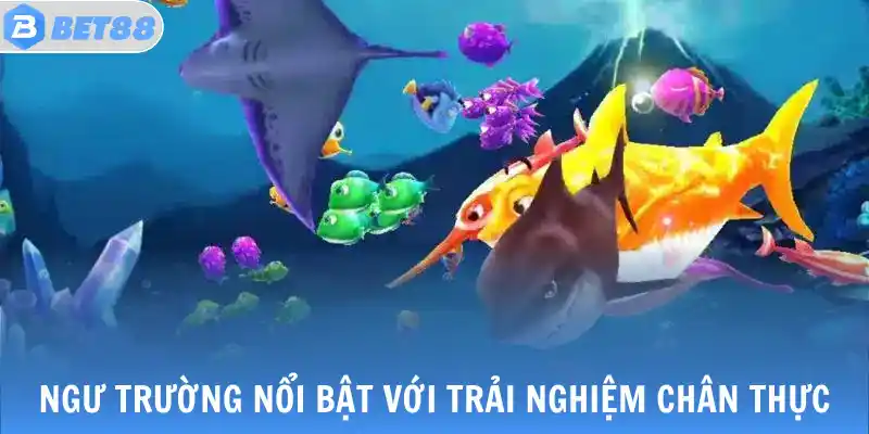 Ngư trường nổi bật với trải nghiệm chân thực
