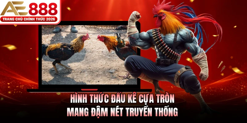 Hình thức đấu kê cựa tròn mang đậm nét truyền thống